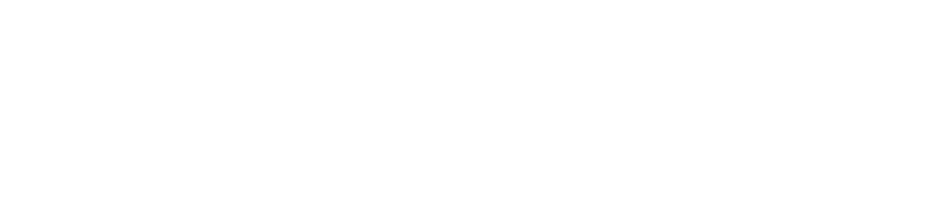 TRASSIR